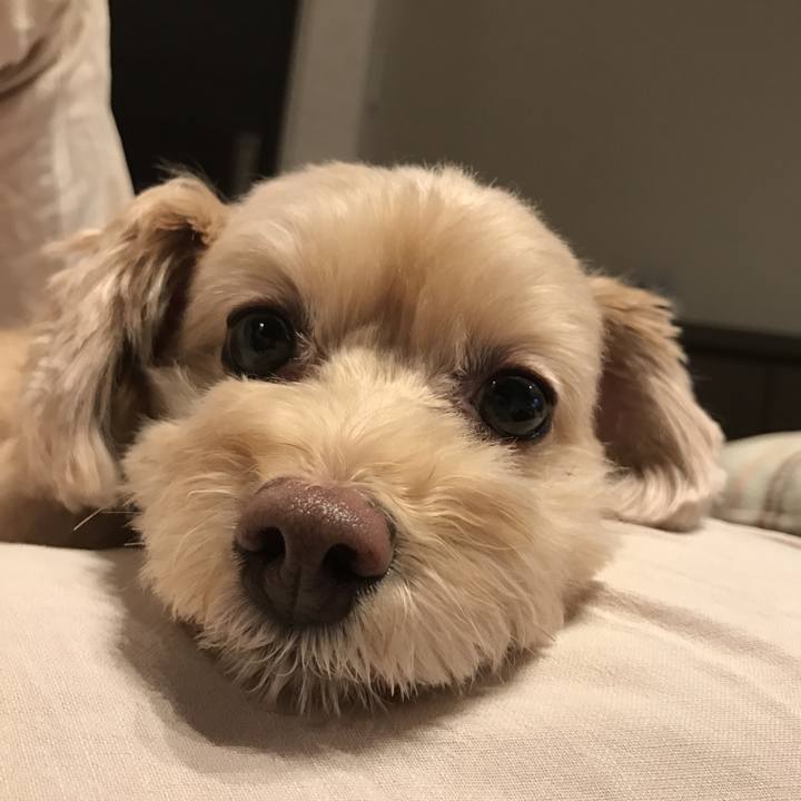 98af1712 db17 409e 9182 a25e655b9e5d