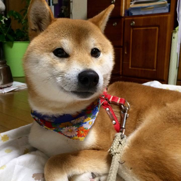 98af7487 20a0 472c 80ae b42610f6bd67