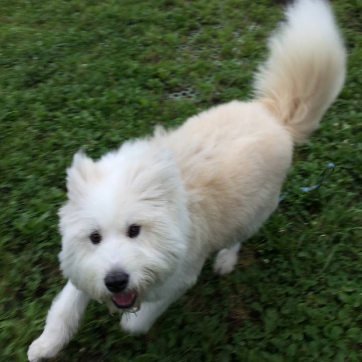 98afafa2 2193 4056 8d13 67553ebfc9d1