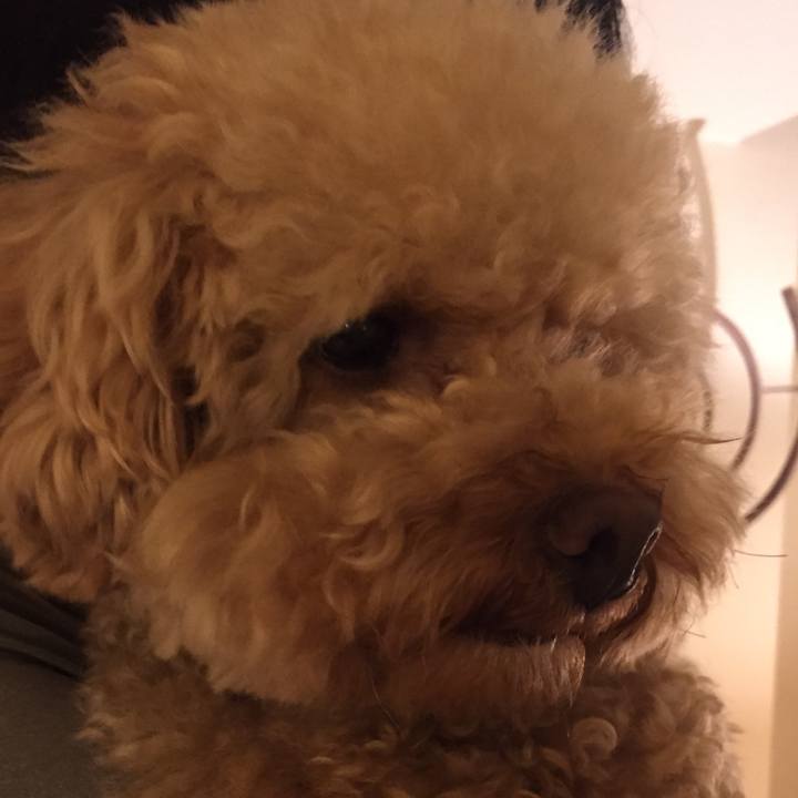 98afdefb a3ce 4511 8e6a 0aec1a1379cd