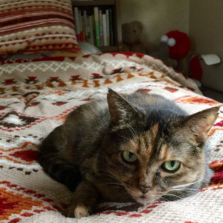 98b03ff1 bb4b 47ee bff7 6d4584cd4b02