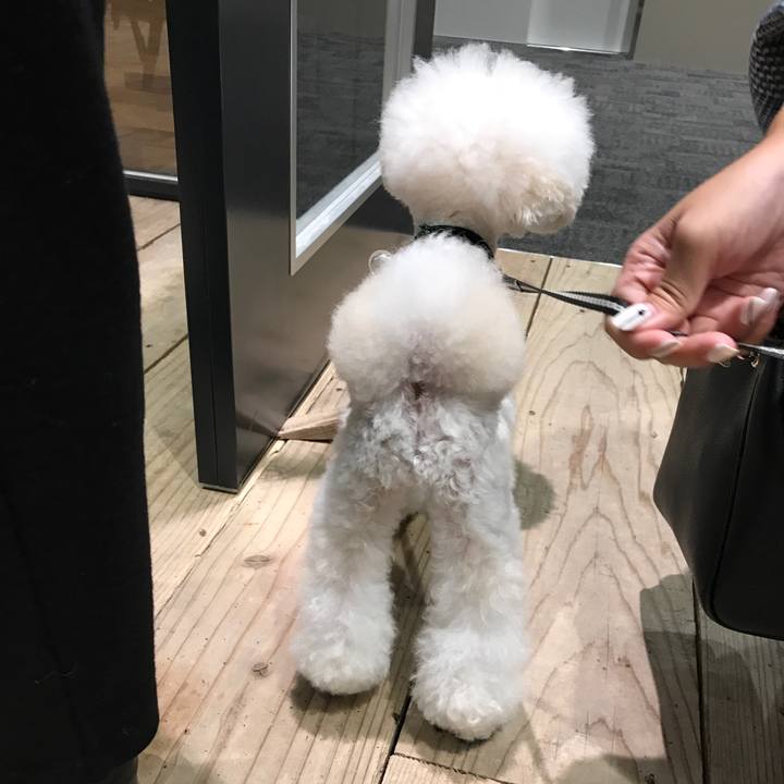 98b06d75 0831 4769 8654 0967061e4cd2