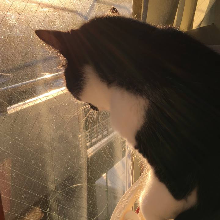 98b084db 86a0 457f 8dce 2a0853fd31cc