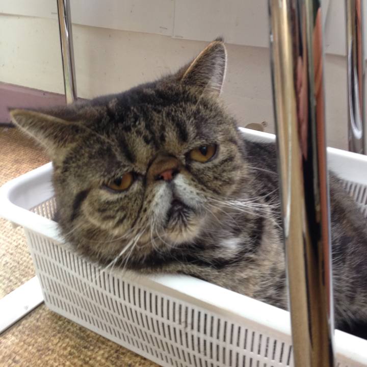 98b0cb7e 4ab5 4abf ba84 5077f854d0bf