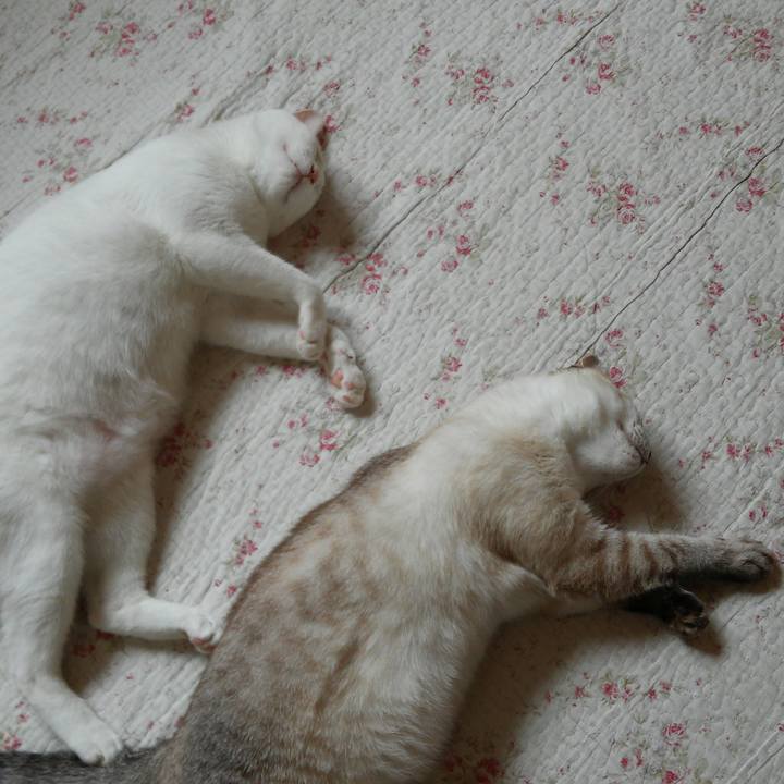 98b14303 3a9a 4fc5 86d7 db87e89139e8