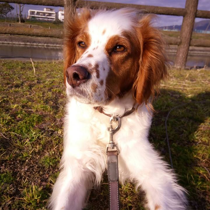 98b160b8 991e 4865 8de6 7e87a8a2bbb9