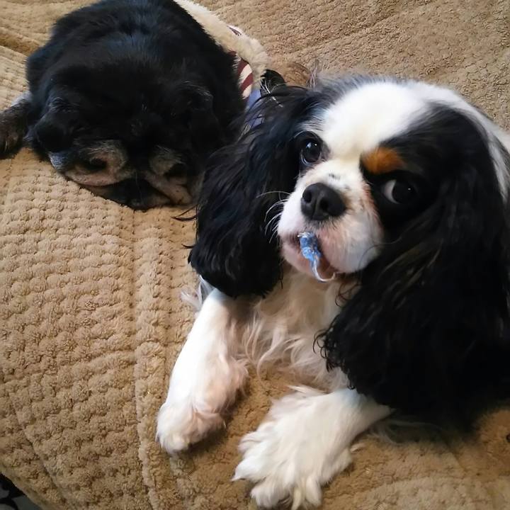 98b17572 eda5 4e1e 81d0 7f9753b5cd7f