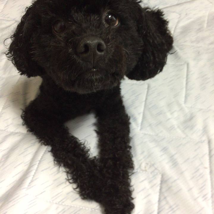 98b181f7 be48 40bd b3b1 80c6b9be7b12