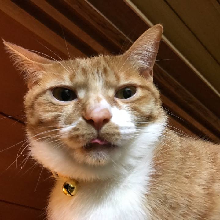 98b221ce 9b6f 49a9 bb39 ffa9d19e8c77