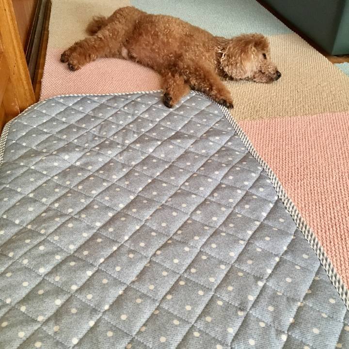 98b24ed8 4ae6 4e00 bc9d bc1f7e61a3f4