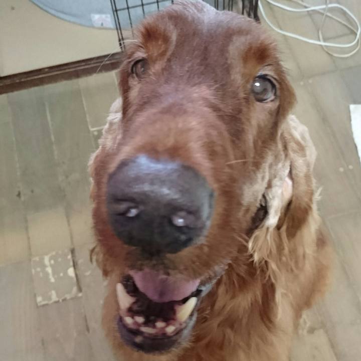 98b41fe4 4e2b 47f6 b6d0 682c5d4eb847