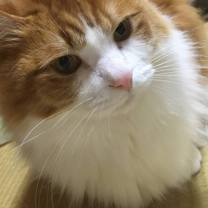 98b4e3ee d58b 4057 9486 8cdfc6f8f3db