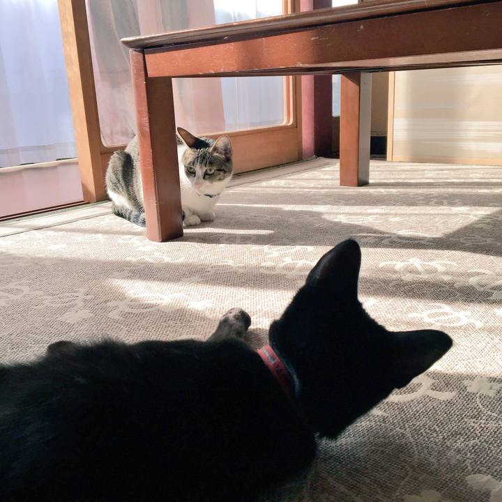 98b531f4 e602 4479 944b 2e76919b8a28