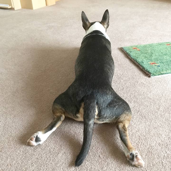 98b538f4 73b0 4703 be77 185d532ac25d