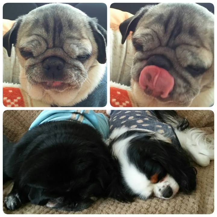 98b5dae8 fde0 482c a154 c7c4d4fb7d83