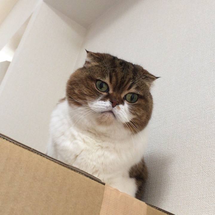 98b60c6c 8889 4c3e 9157 e1c35a29b424