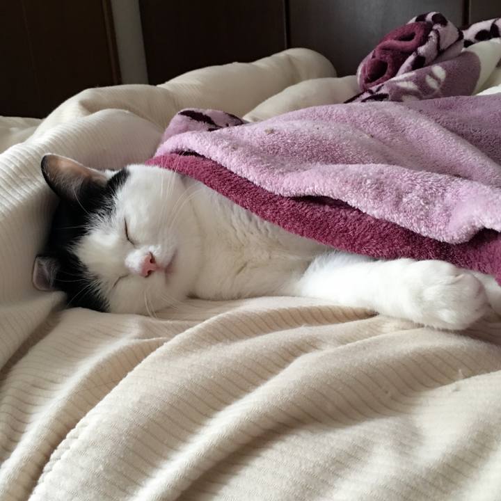 98b6d58c ba05 4673 97f8 c6b332481ba2