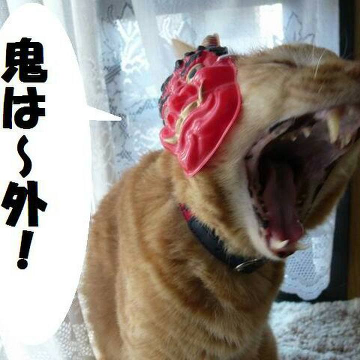 98b728df 1368 4fbc 8a51 89c7f2f65017