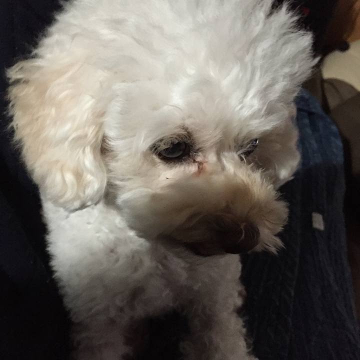 98b736ee 9893 4838 b09b 8c63dedd8c93