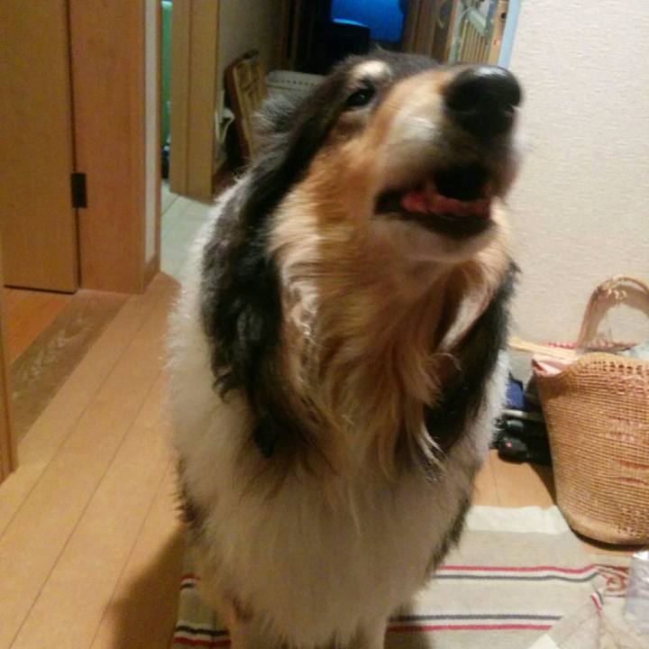 98b7e004 1002 4f62 88b8 30ac3f4e67ad