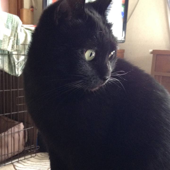 98b852ef e8f5 4f22 8556 cf4fb83d4aa8