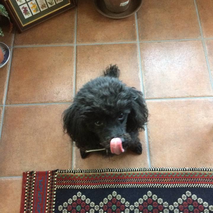 98b931f1 b4fc 469c 90d1 6bb5888caf12