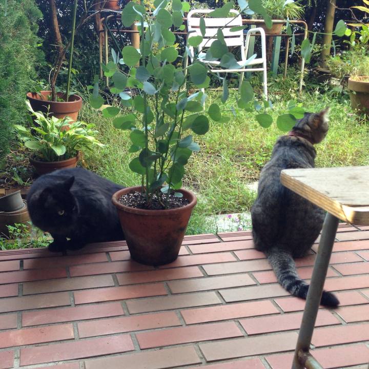 98b9c128 d405 4def b2e5 2fe161e3337a