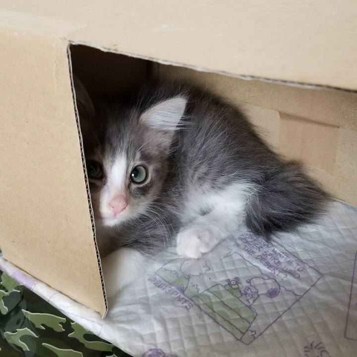 98ba39b2 13d4 4e24 b0ce 2a0ef9d0cb0a