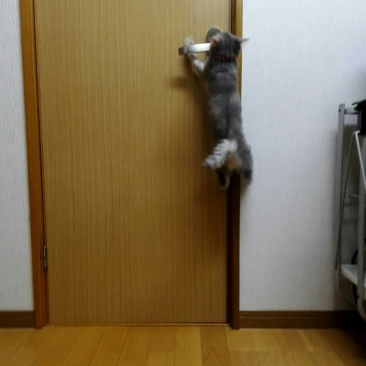 98ba9019 ad89 4c1b acb5 2a639c135f47