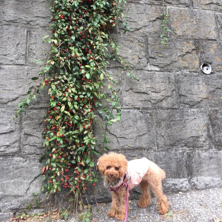 98bac25b 44b3 48b6 98bb 956ab68a994e