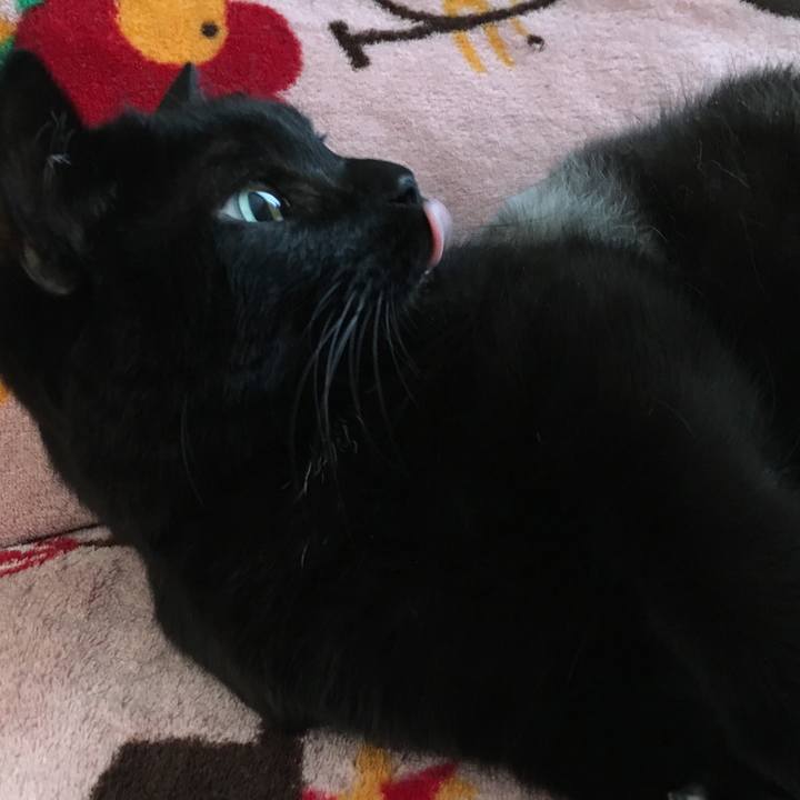 98bb3c7e 4071 49aa 9875 3a2792161320