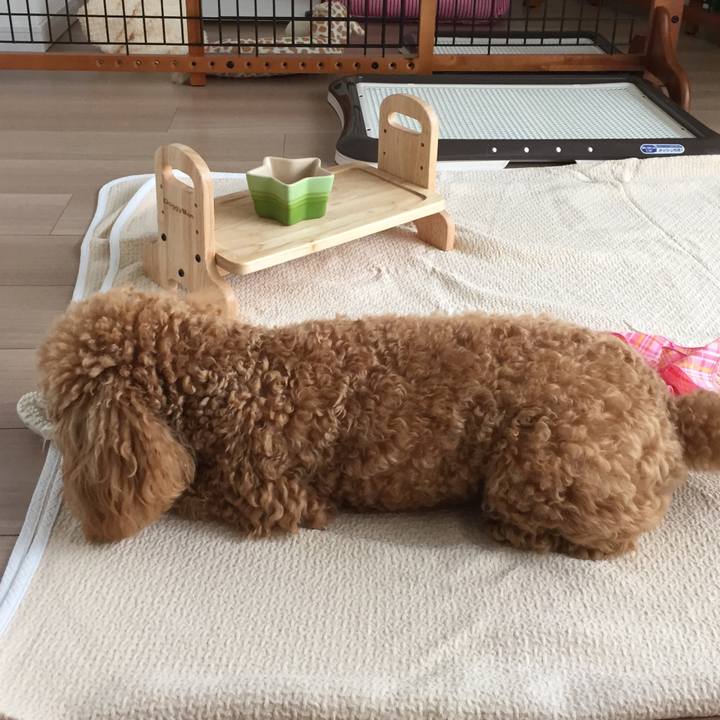 98bb9408 2cd1 47a3 97de b574817d3d19