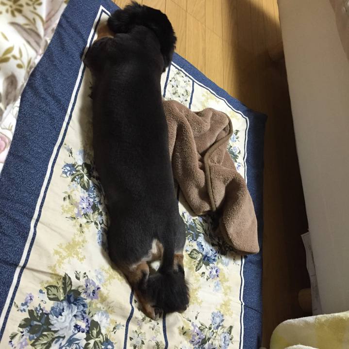 98bd17bf 5c19 4561 a86a c01e6725436c