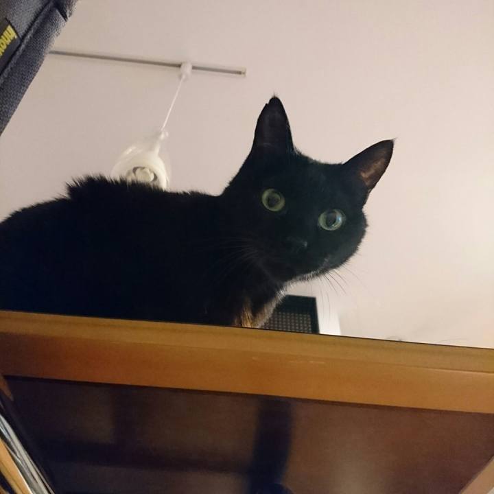 98bdc958 6bd9 4942 84a6 5b7ba4a75051