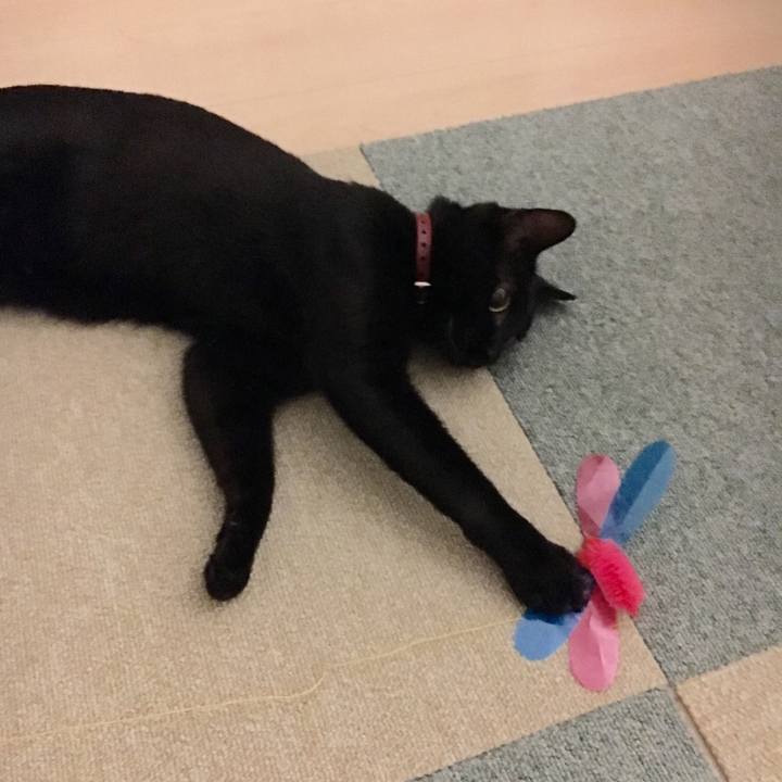 98be2ec4 323b 413a bb45 222b0f4de881