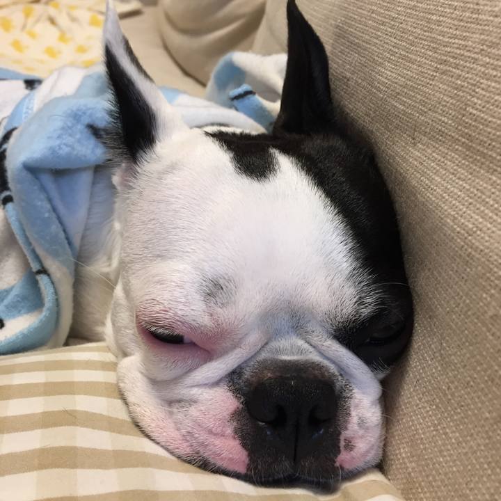 98be4a69 c98f 4779 a8ef b651a869232f