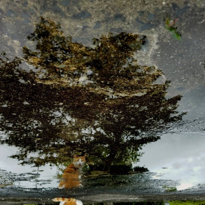 98be9344 5c00 4b29 8cc7 337a4a2bde49