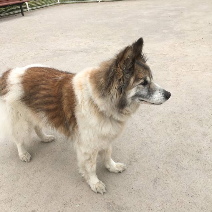 98bf2fcb 6a3e 4efd 8f6d c9d2e80368ed