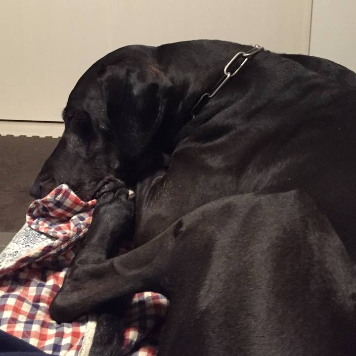 98bf6de0 722f 48b4 a326 fb68083ae61f