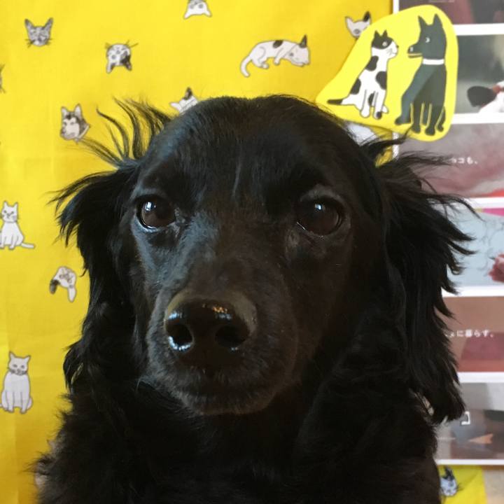 98bf7e4f 23bf 47e4 8c84 90ff7c3608c8