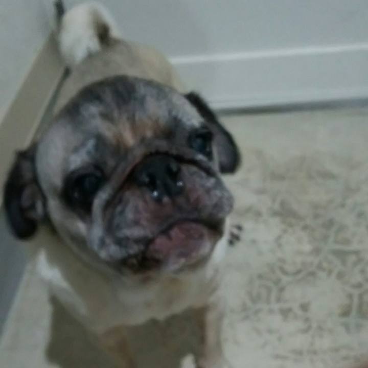 98c06f5e 0055 4fda 9a4f 8ee94eb0ee45