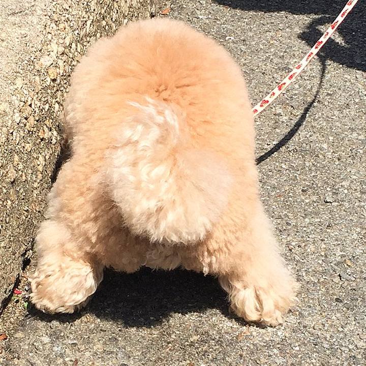 98c1a7cd 9081 4531 9ab3 52adc0f06bb0