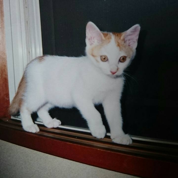 98c1b30f c95f 42e5 b002 44c53939a01e