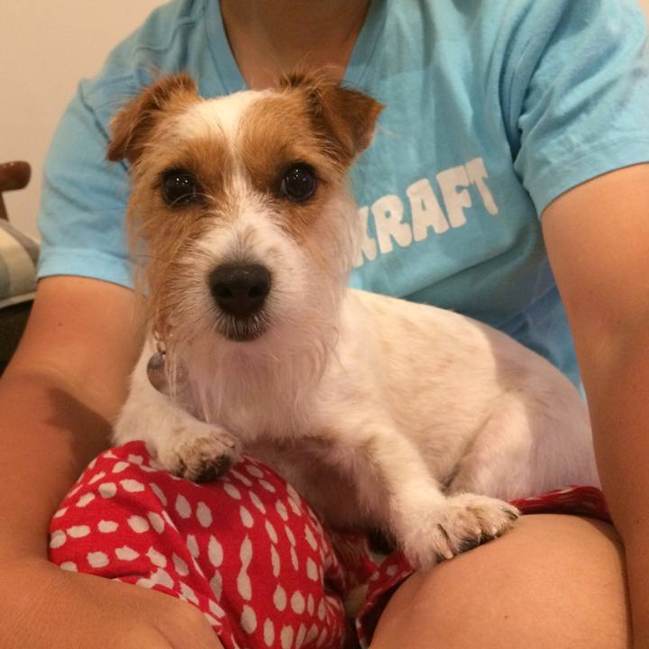 98c1c59f 763c 4dbd 828a ae827e550c02