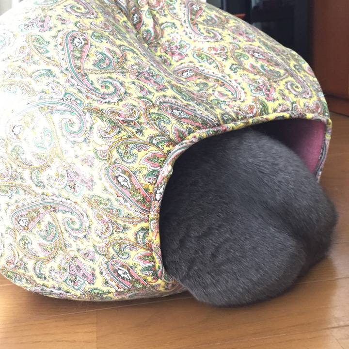 98c29be6 1a55 44e2 9c2e 4e7f9856cdf2