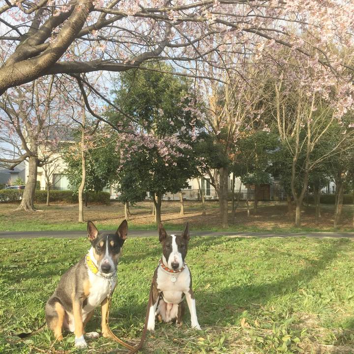 98c2fdc2 1a68 4119 bd22 4947f4556044