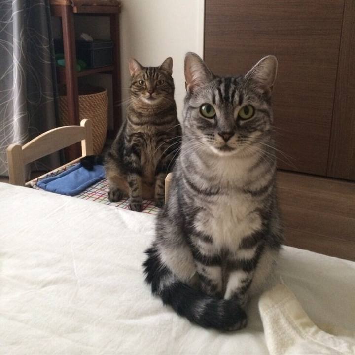 98c3b978 74b0 4e7e 8d93 054a98ee5652