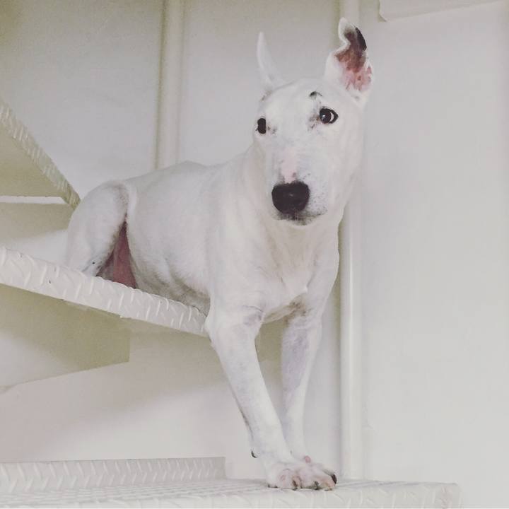 98c3d063 c89f 48d7 bd47 2d052e8cbed5