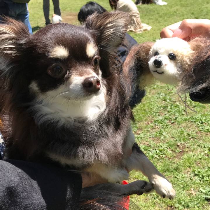 98c46d04 3656 4b18 aa07 7597da256ca1