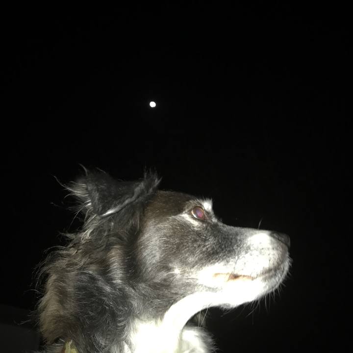 98c4f70e e9bc 4b2e 82a8 03697725c7ec